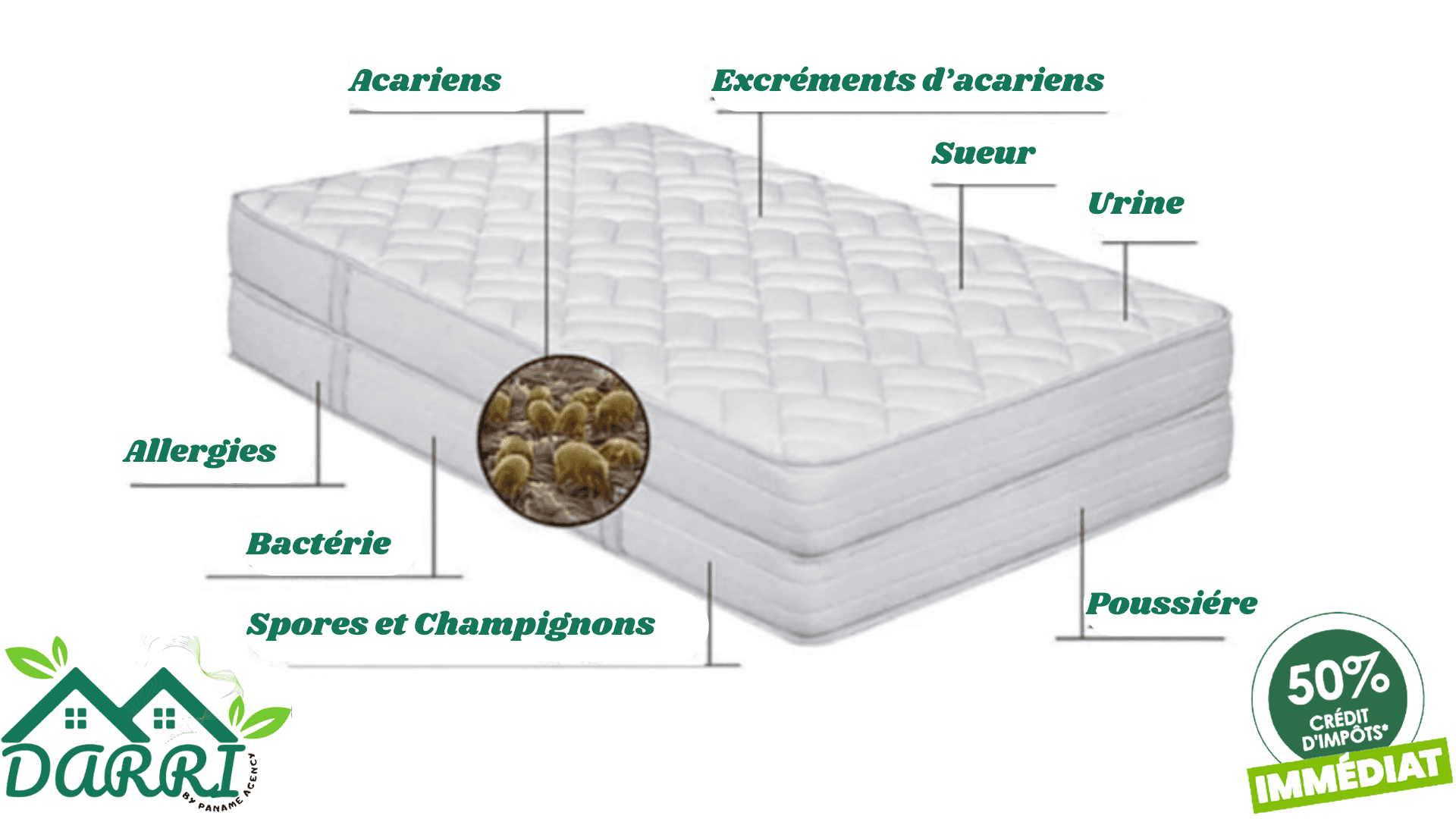 Nettoyage Matelas